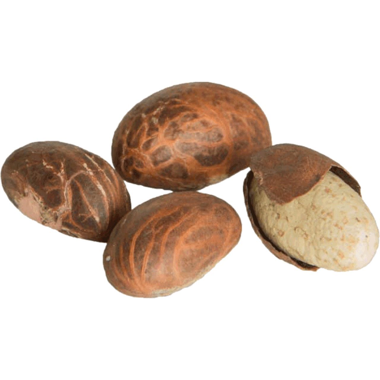 Orogbo (Bitter Kola) x3